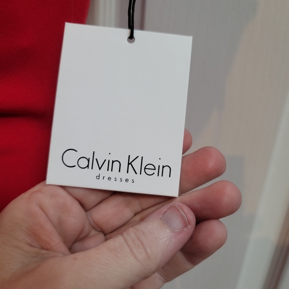 Calvin Klein NWT column dress - GORGEOUS - Picture 3 of 8